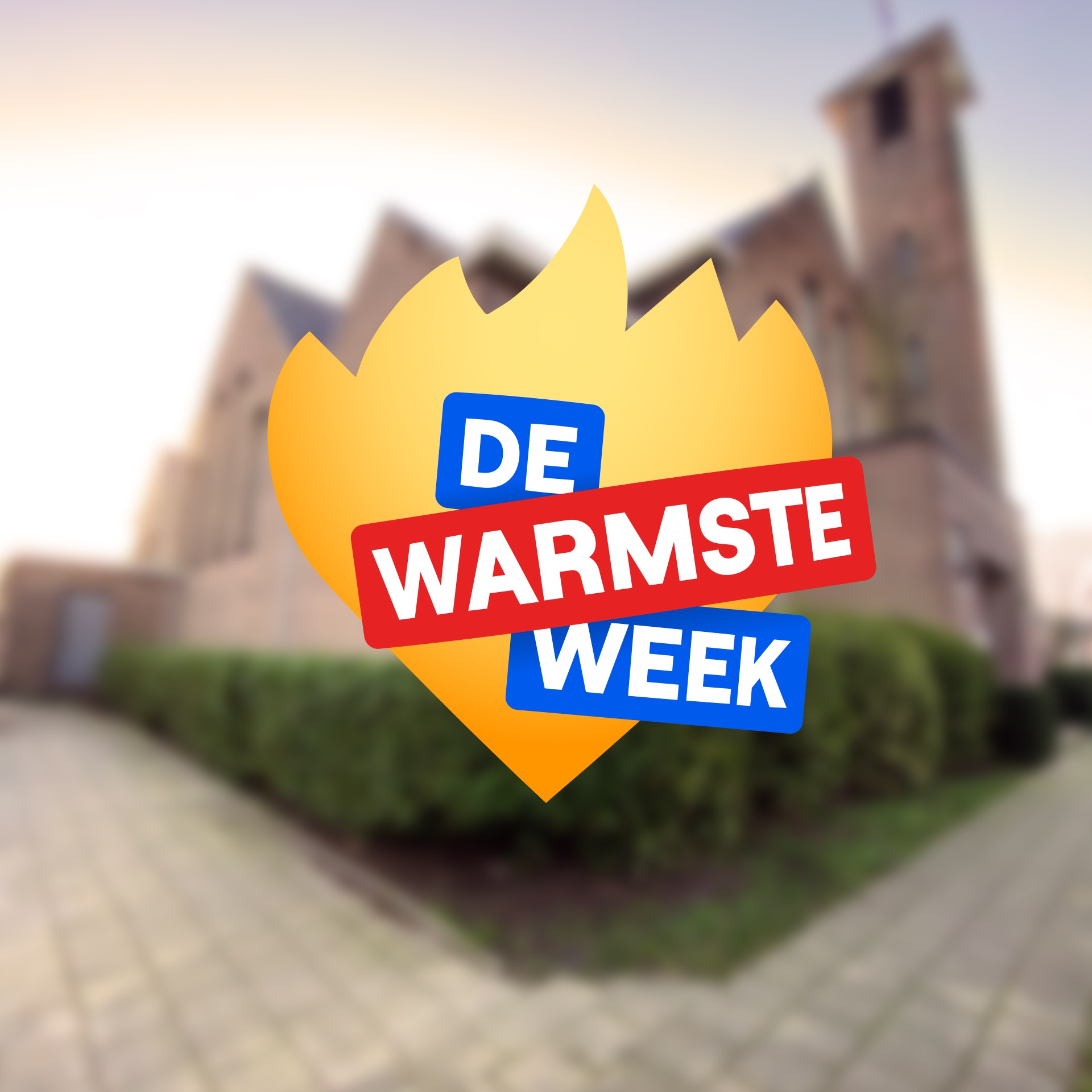 dewarmsteweek-project.jpg